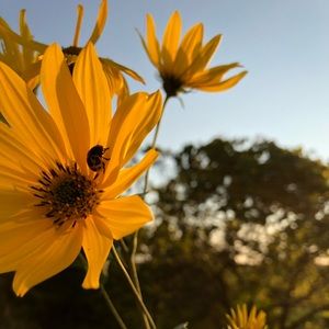 Meet your Posher, Mattea